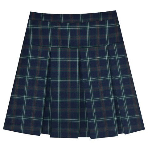 Fjs Navy and Green and Red Plaid Pleated Skirt