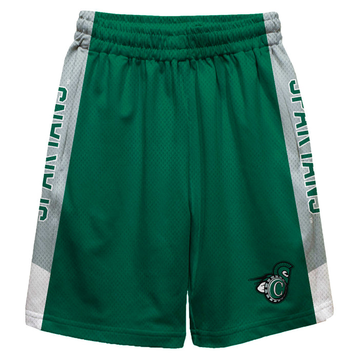 Castleton Spartans Vive La Fete Game Day Green Stripes Boys Solid Gray Athletic Mesh Short