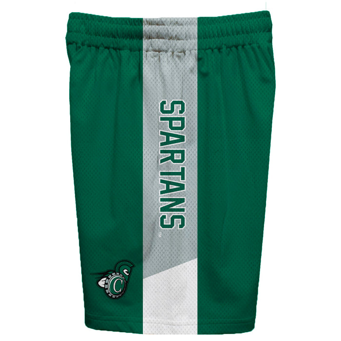 Castleton Spartans Vive La Fete Game Day Green Stripes Boys Solid Gray Athletic Mesh Short - Vive La Fête - Online Apparel Store