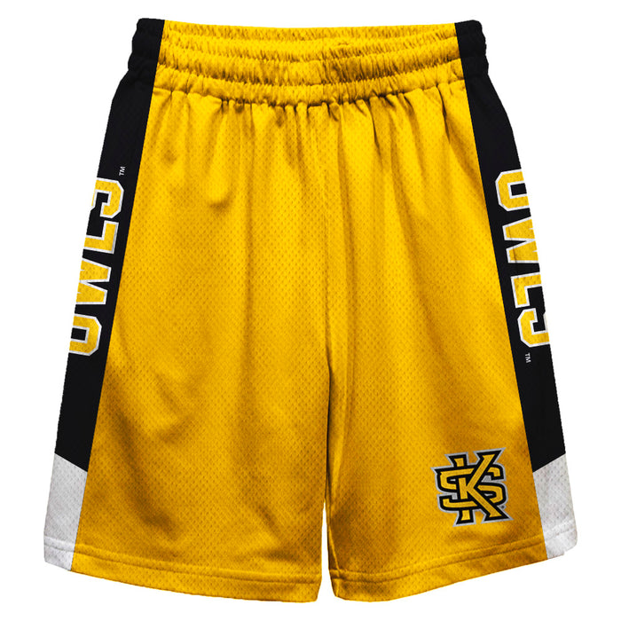 Kennesaw State Owls Vive La Fete Game Day Gold Stripes Boys Solid Black Athletic Mesh Short