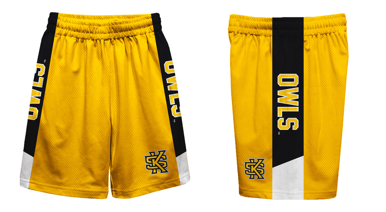 Kennesaw State Owls Vive La Fete Game Day Gold Stripes Boys Solid Black Athletic Mesh Short - Vive La Fête - Online Apparel Store