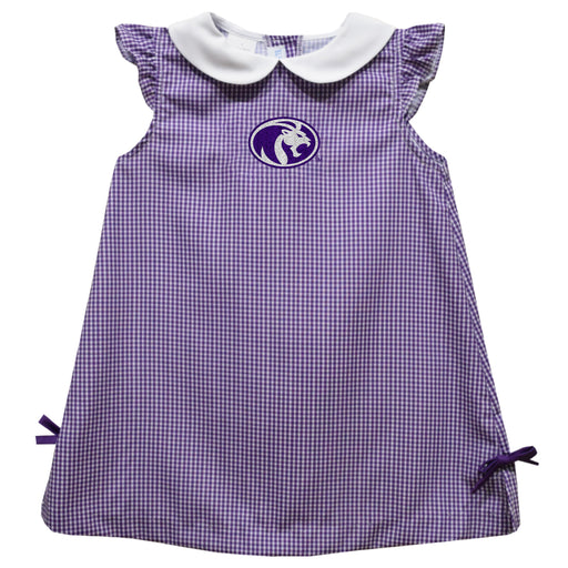 North Alabama Lions Embroidered Purple Gingham A Line Dress