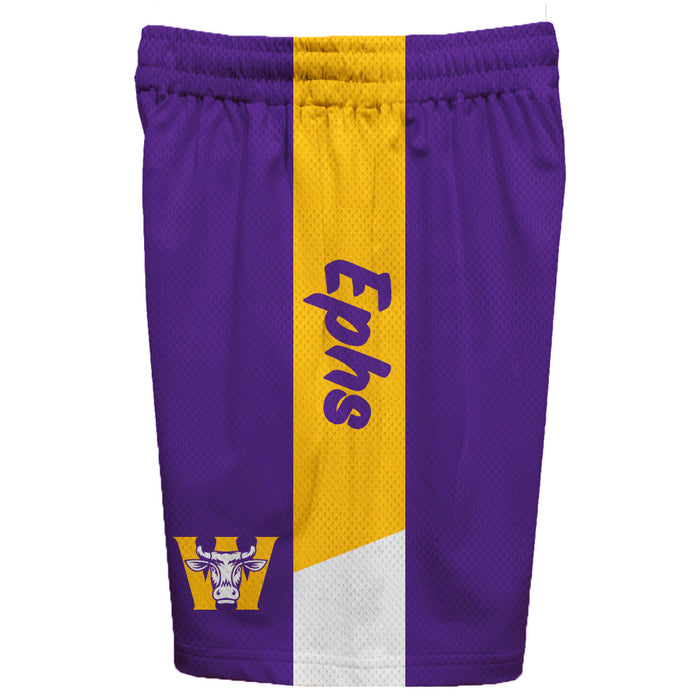 Williams College Ephs Vive La Fete Game Day Purple Stripes Boys Solid Gold Athletic Mesh Short - Vive La Fête - Online Apparel Store