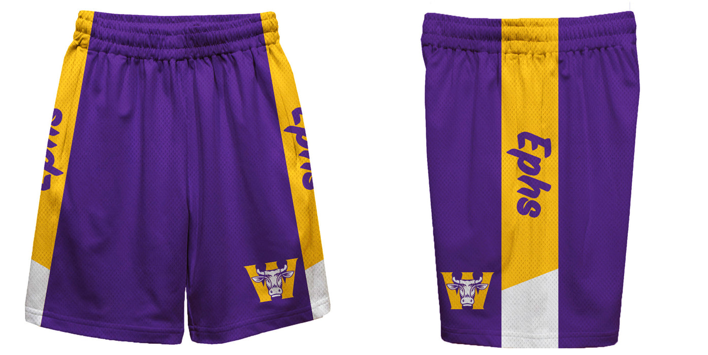 Williams College Ephs Vive La Fete Game Day Purple Stripes Boys Solid Gold Athletic Mesh Short - Vive La Fête - Online Apparel Store