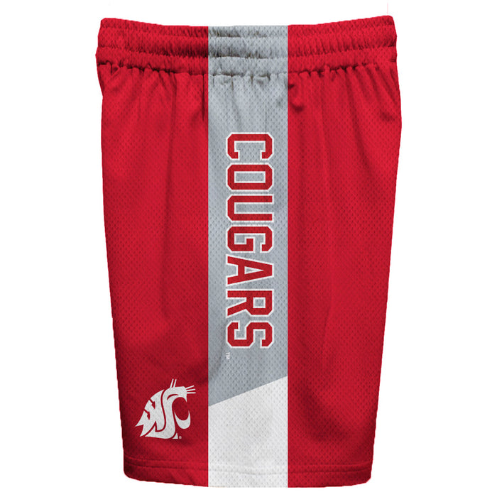 Washington State Cougars Vive La Fete Game Day Red Stripes Boys Solid Gray Athletic Mesh Short - Vive La Fête - Online Apparel Store