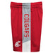 Washington State Cougars Vive La Fete Game Day Red Stripes Boys Solid Gray Athletic Mesh Short - Vive La Fête - Online Apparel Store