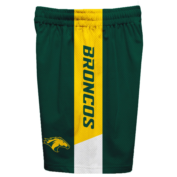 Cal Poly Pomona Broncos Vive La Fete Game Day Green Stripes Boys Solid Gold Athletic Mesh Short - Vive La Fête - Online Apparel Store