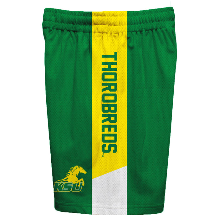 Kentucky State Thorobreds Vive La Fete Game Day Green Stripes Boys Solid Gold Athletic Mesh Short - Vive La Fête - Online Apparel Store