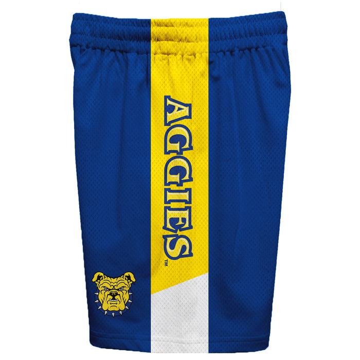 North Carolina A&T Aggies Vive La Fete Game Day Blue Stripes Boys Solid Gold Athletic Mesh Short - Vive La Fête - Online Apparel Store