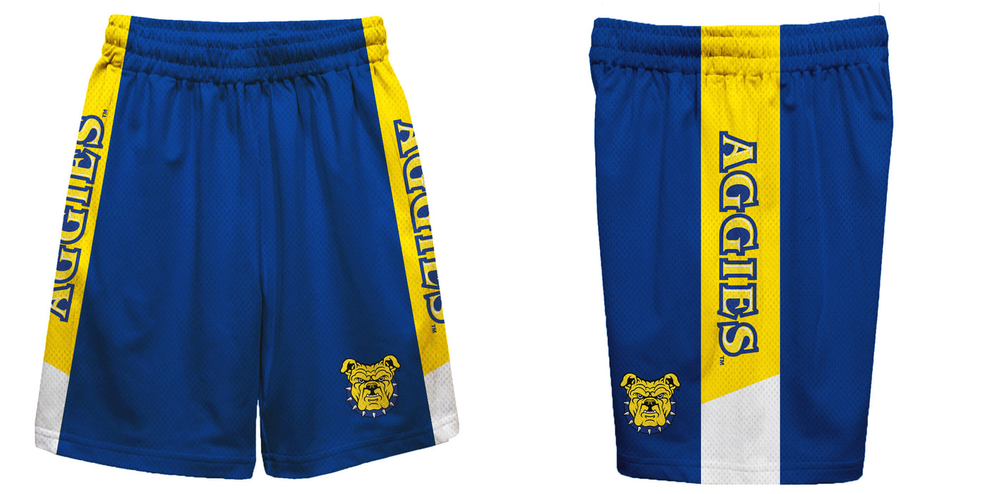 North Carolina A&T Aggies Vive La Fete Game Day Blue Stripes Boys Solid Gold Athletic Mesh Short - Vive La Fête - Online Apparel Store