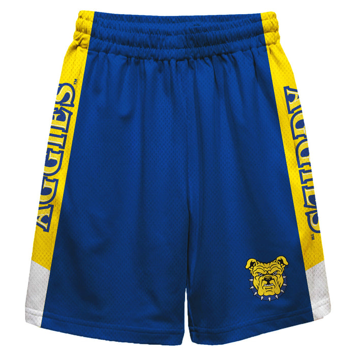 North Carolina A&T Aggies Vive La Fete Game Day Blue Stripes Boys Solid Gold Athletic Mesh Short