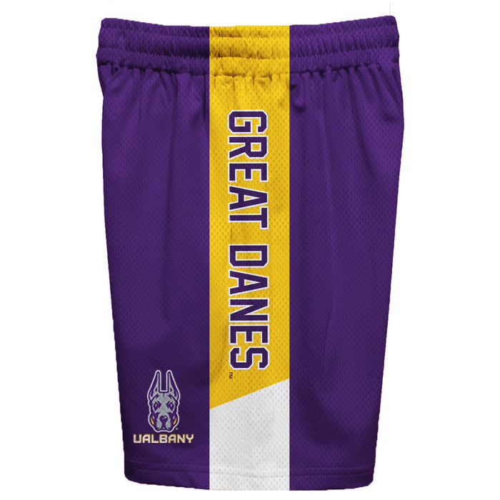 UALBANY Great Danes Vive La Fete Game Day Purple Stripes Boys Solid Yellow Athletic Mesh Short - Vive La Fête - Online Apparel Store