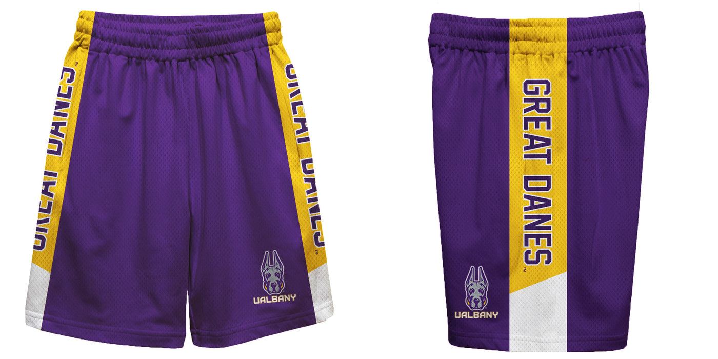 UALBANY Great Danes Vive La Fete Game Day Purple Stripes Boys Solid Yellow Athletic Mesh Short - Vive La Fête - Online Apparel Store