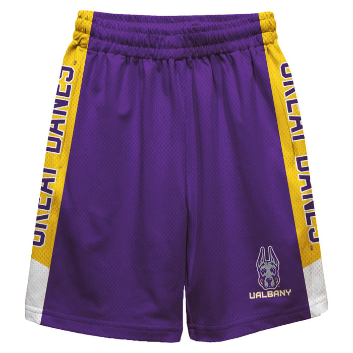 UALBANY Great Danes Vive La Fete Game Day Purple Stripes Boys Solid Yellow Athletic Mesh Short