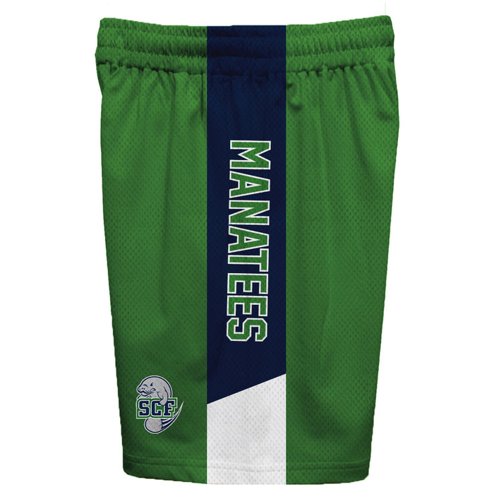 State College of Florida Manatees Vive La Fete Game Day Green Stripes Boys Solid Blue Athletic Mesh Short - Vive La Fête - Online Apparel Store