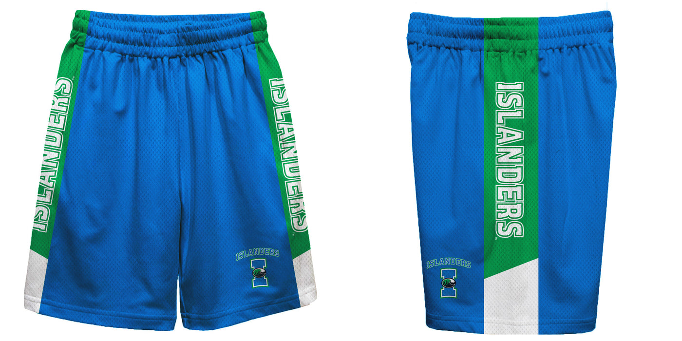 Texas A&M Corpus Christi Islanders Vive La Fete Game Day Blue Stripes Boys Solid Green Athletic Mesh Short - Vive La Fête - Online Apparel Store